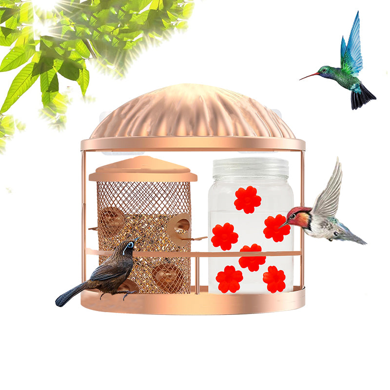 Cross Border Amazon Outdoor Wall Mounted Triple Function Sticky Wall Bird Feeder Hummingbird Feeder Squirrel Proof Bird Feeder Factory