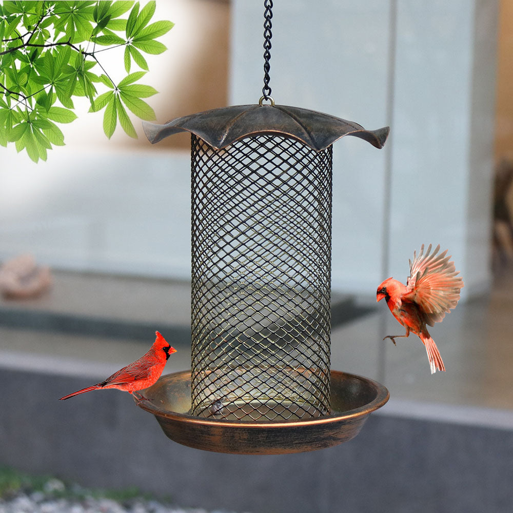 Cross-border sources anti-squirrel bird feeder metal hanging hair iron hummingbird feeder outdoor hanging hanging bird feeder